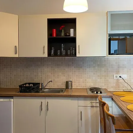 Wellness Blue Star Apartman 公寓