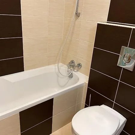 Wellness Blue Star Apartman