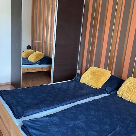 Wellness Blue Star Apartman 公寓